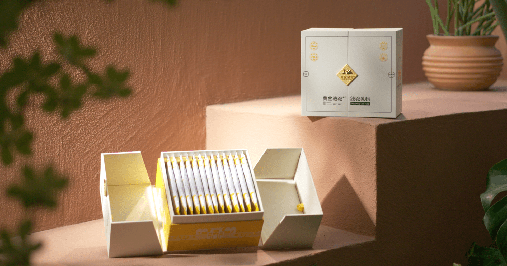 定位小众高端乳粉，AG庄闲推出驼奶品牌“黄金骆驼+”，角逐乳品新市场！